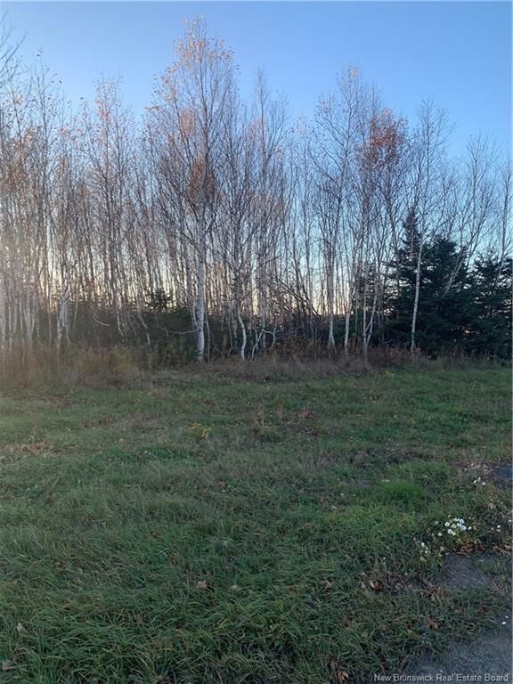 Property Photo:  Terrain 0,28 Acres Route 135  NB E8M 1K2 