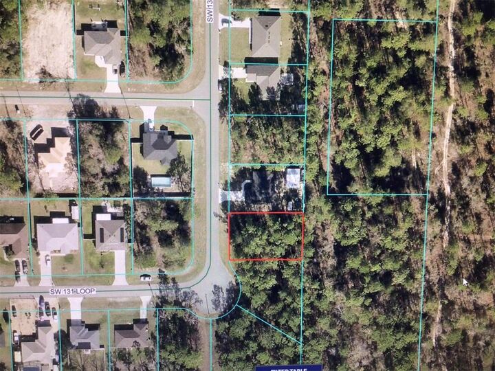Property Photo:  0 SW 131 Loop  FL 34473 