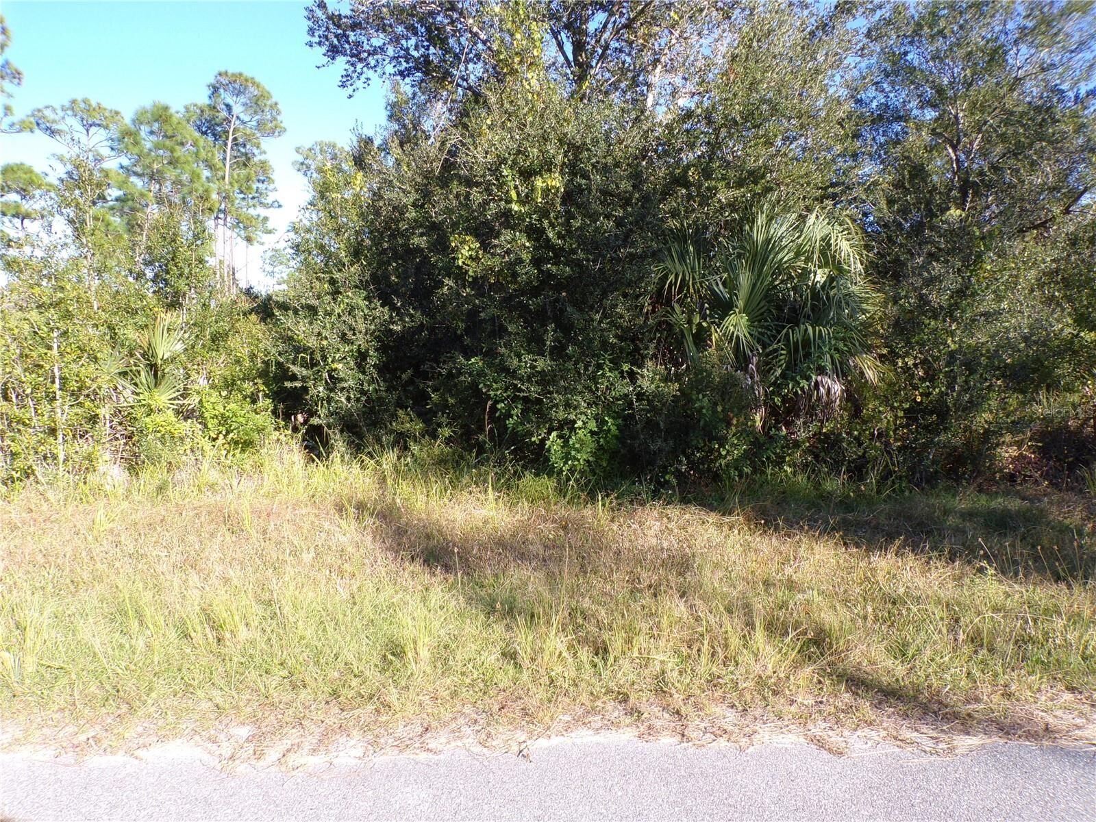 Property Photo:  442 Lackland Street  FL 33953 