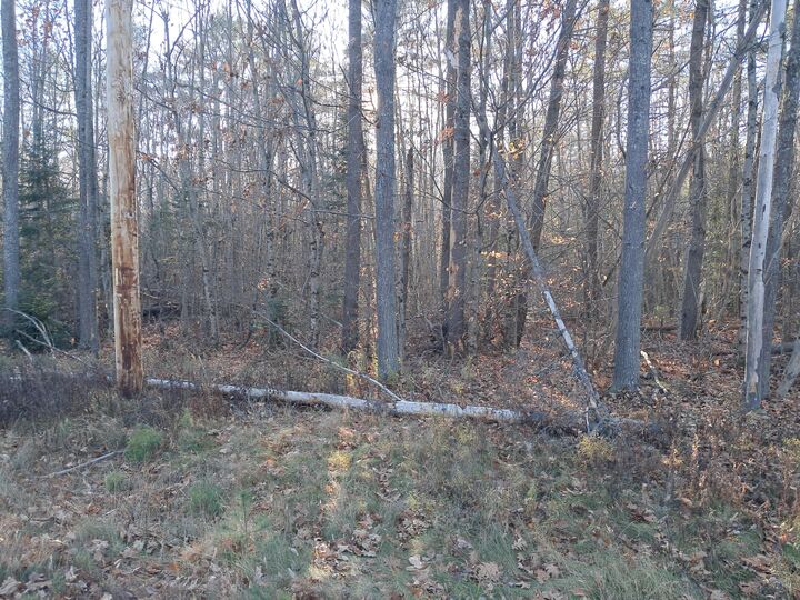 Property Photo: 00 Rt 2 Road ME 04475