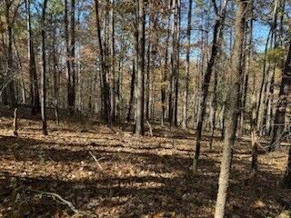 Property Photo:  Lot 25 Leafield Lane  AR 72714 