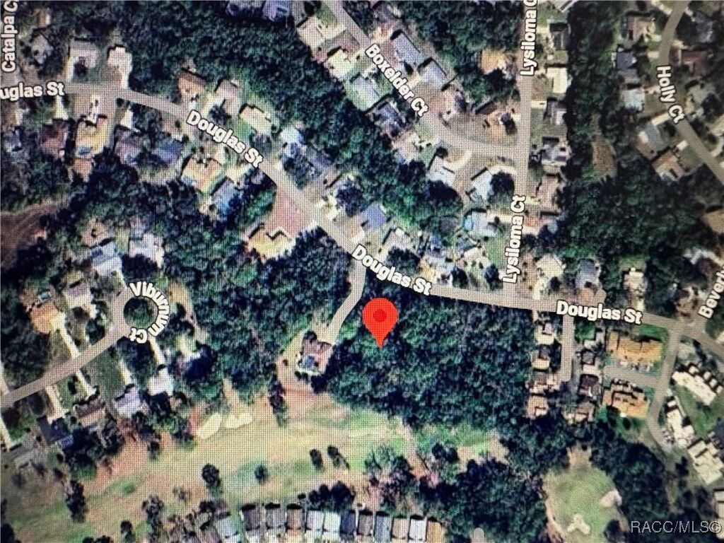 Property Photo:  73 Douglas Street  FL 34446 