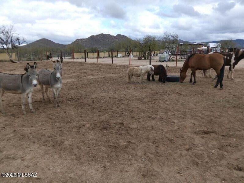 Property Photo:  15246 S Carlsburg Avenue 124-127  AZ 85736 