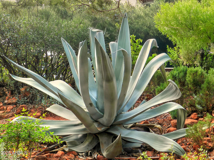 Property Photo: 50 Mogollon Drive AZ 86336