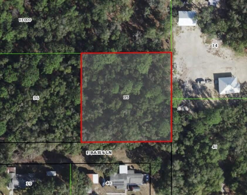 Property Photo: 10641 E Bates Lane FL 34450