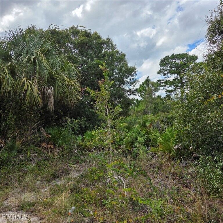 Property Photo: 4627 Karen Avenue N FL 33971