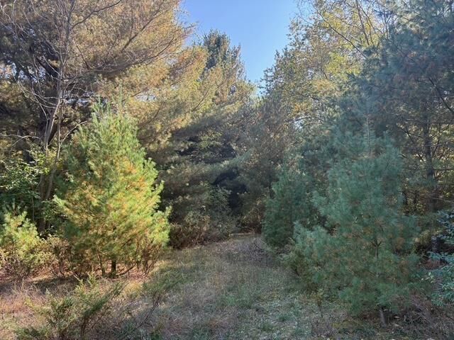 D S Glen Lake Road  Glen Arbor Twp MI 49636 photo