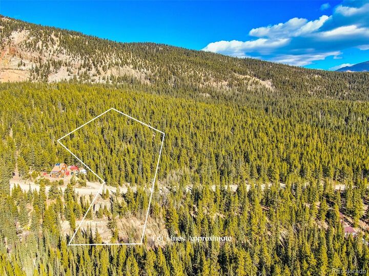 Property Photo:  2167 Buckskin Road  CO 80420 