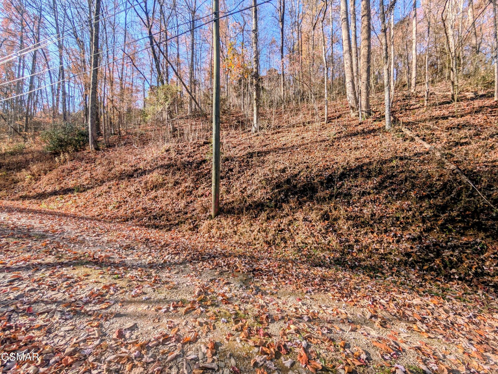 Property Photo:  Lot 1272 Raymond Hollow Road  TN 37876 