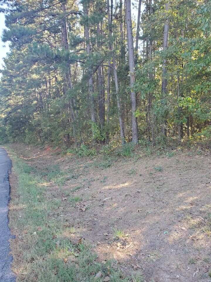 Property Photo: 00 Country Wood Rd. AR 72131