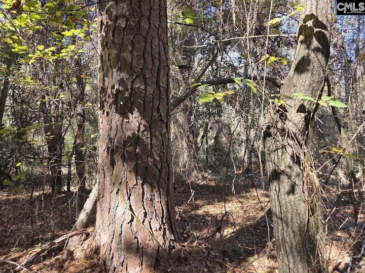 Property Photo: 17 Five Bridges SC 29020