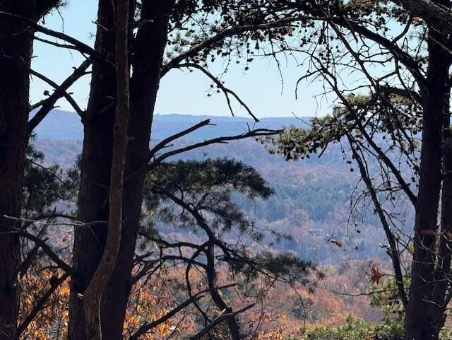 Property Photo:  0 John Call Rd  GA 30175 