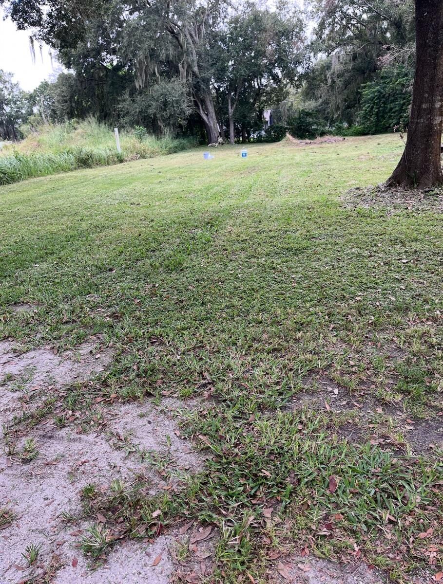 Property Photo: 711 S Marshall Street FL 33563