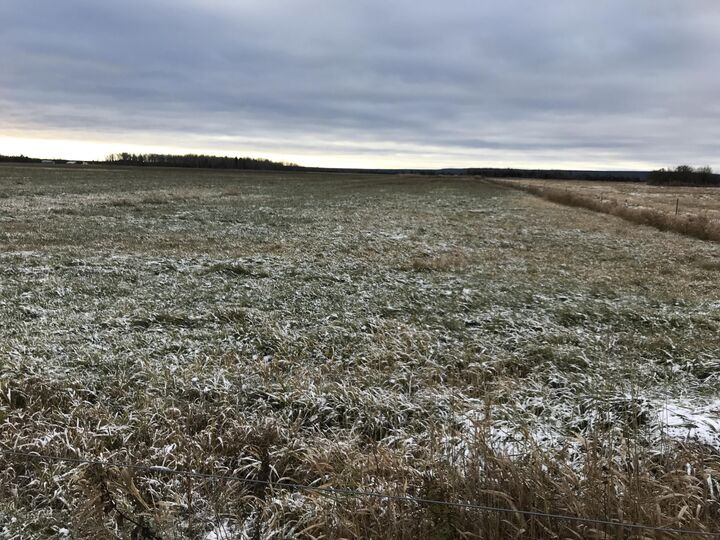 Property Photo: 0000 M-48 MI 49780