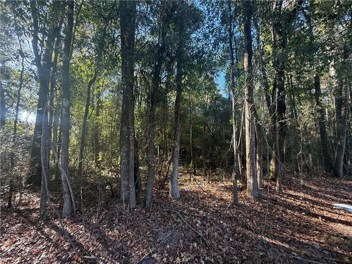 Property Photo:  29100 La-16 Highway  LA 70463 