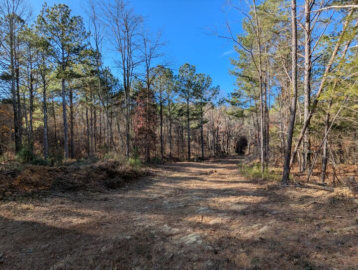 Property Photo: 169 Volunteer Lane TN 37362
