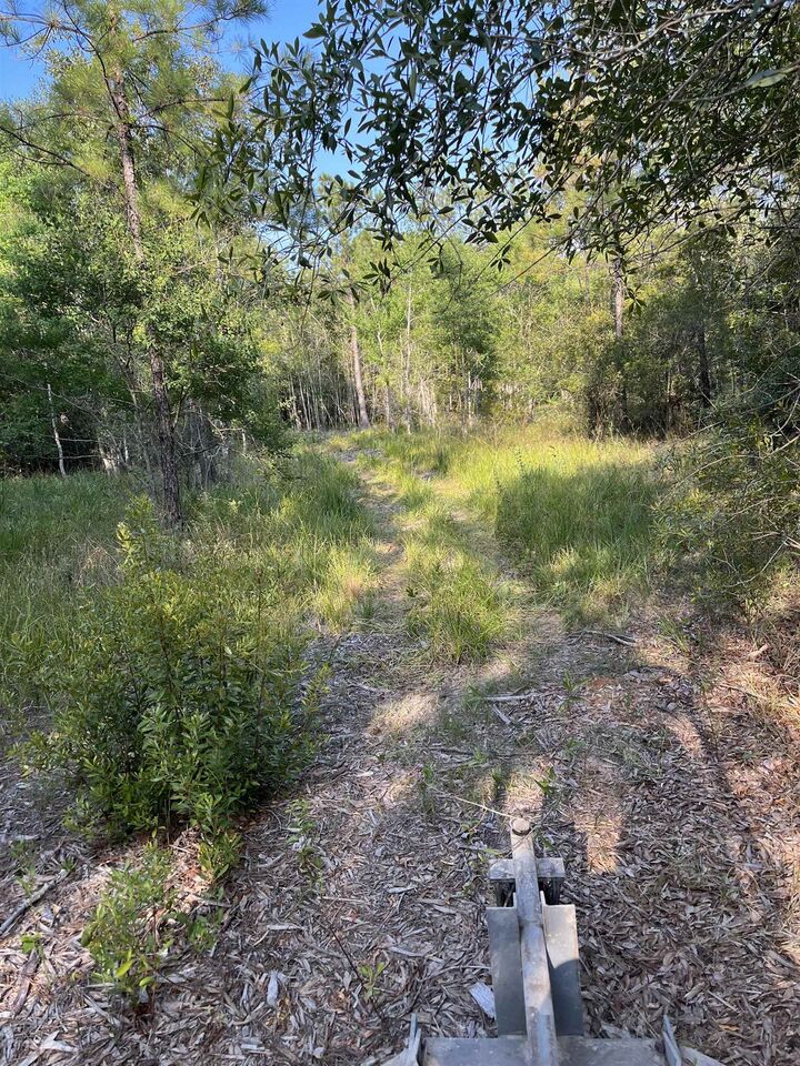 Property Photo: 1655 Cr 716 TX 77612