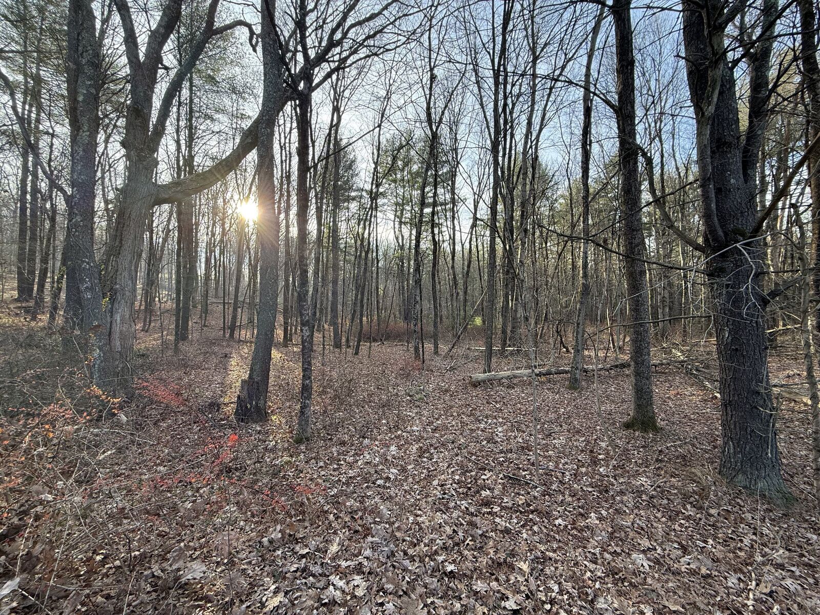 Property Photo:  Chatey Road  CT 06278 