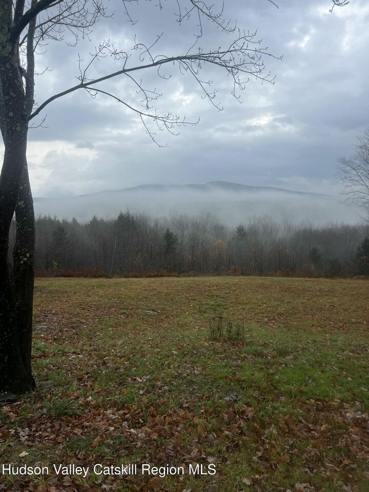 Property Photo: 0 Blueberry NY 12468