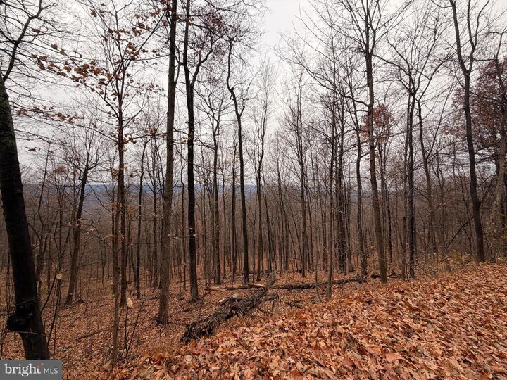 Property Photo: 6.71 Ac Lot 9 Gobbler Lane WV 25427