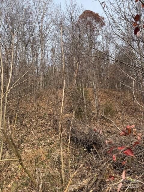 Property Photo:  00 Yancey Road  NC 28752 