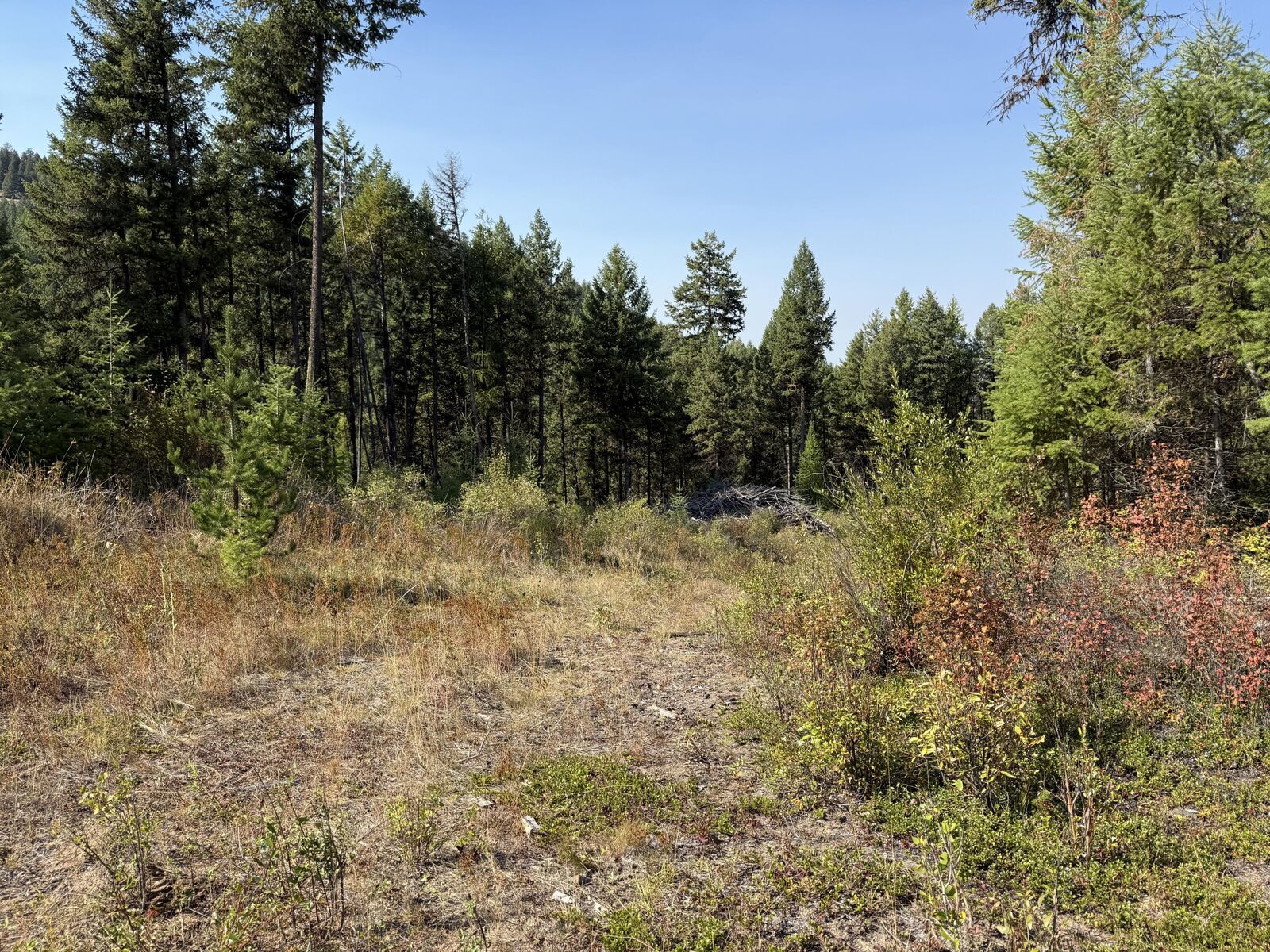 Property Photo:  Tbd St. Peter'S Creek Rd  WA 99150 
