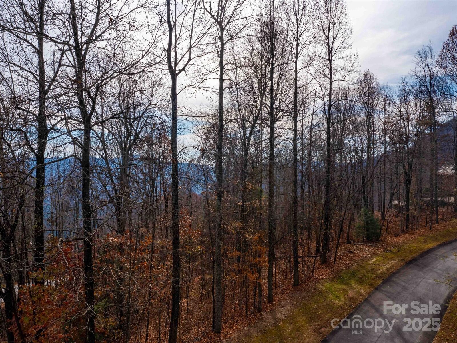 Property Photo:  Lot 253 Haddington Drive  NC 28756 