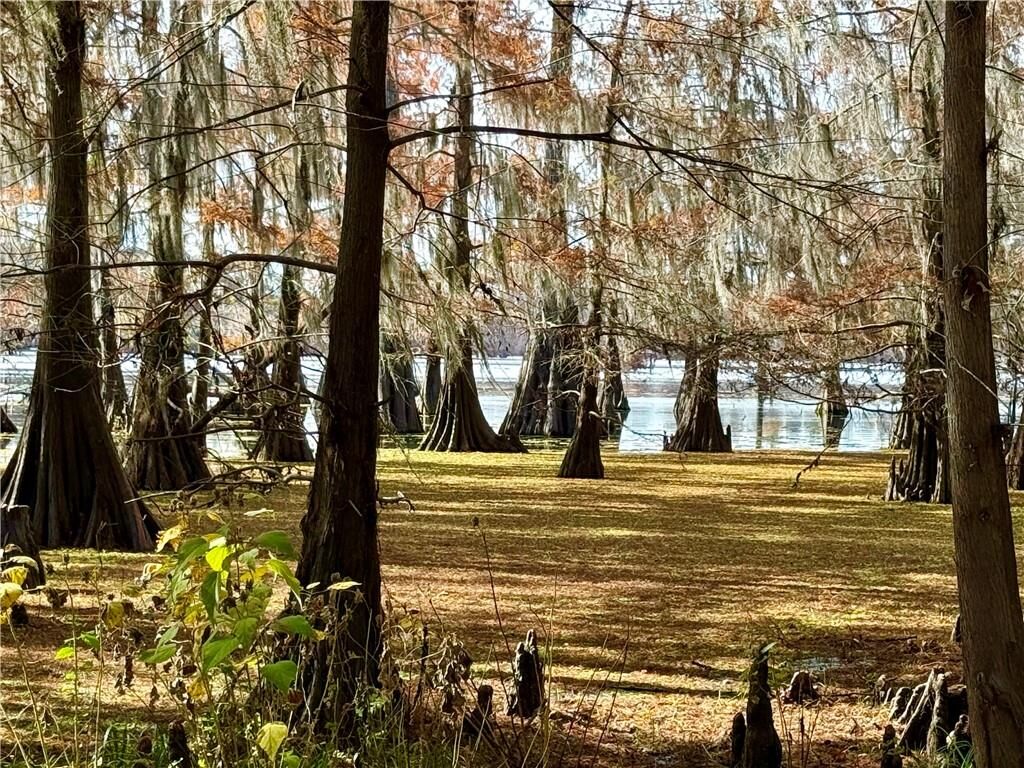 Property Photo: Hardwater Lake Road LA 71467