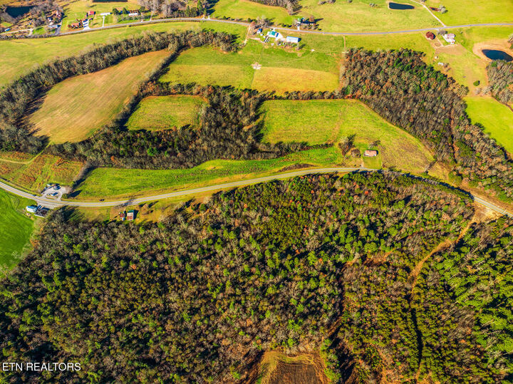 Property Photo: 15649 Lantana Rd TN 38572