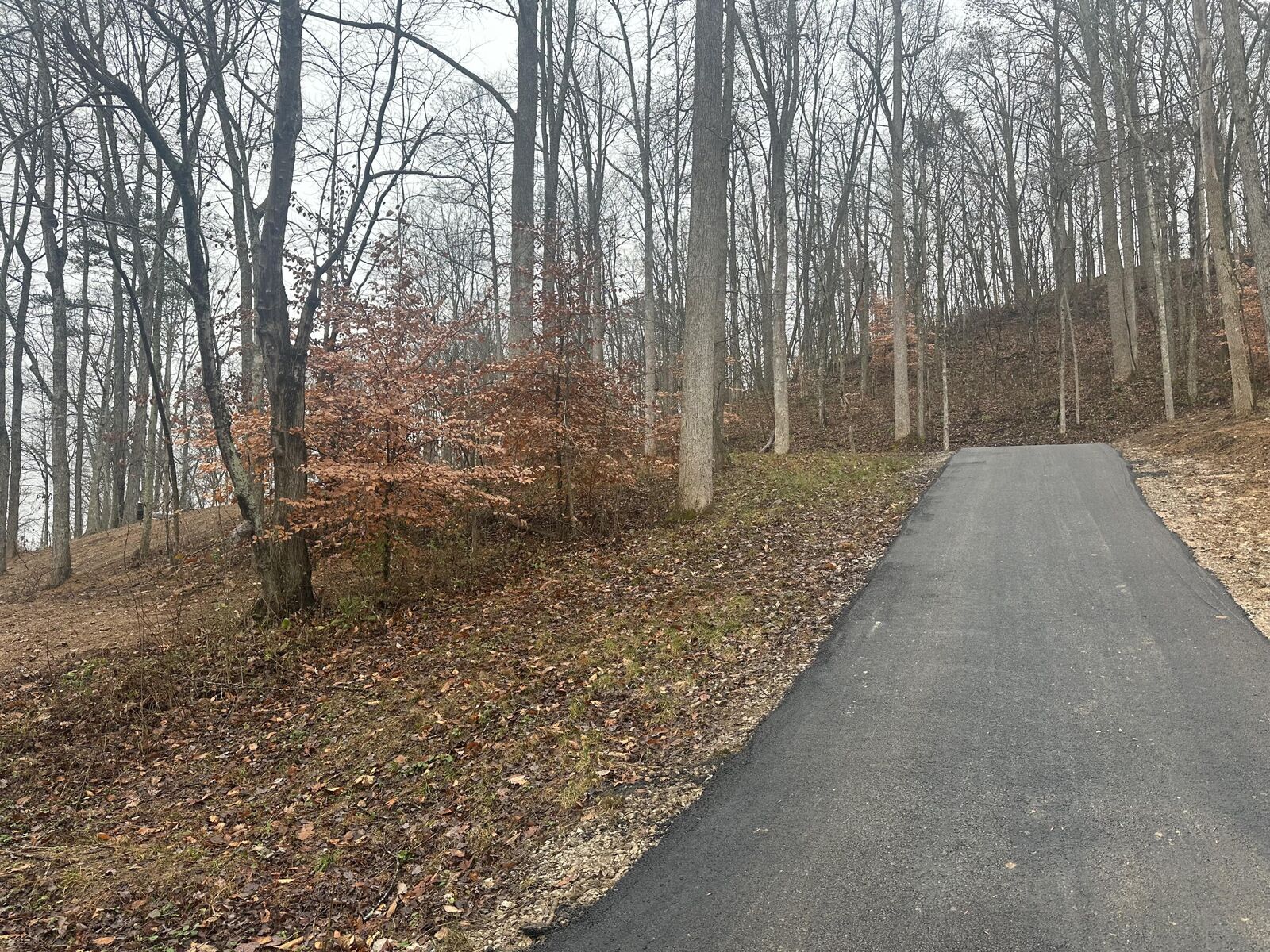 Property Photo:  113   Lot 55 Yellowstone Drive Lot 55  KY 40729 