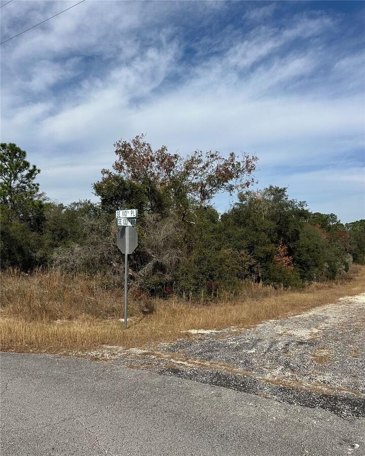 Property Photo: Lot 26 SE 133rd Avenue FL 34434