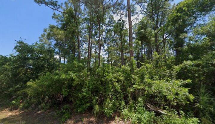 Property Photo: 2148 Shilo Street FL 33980