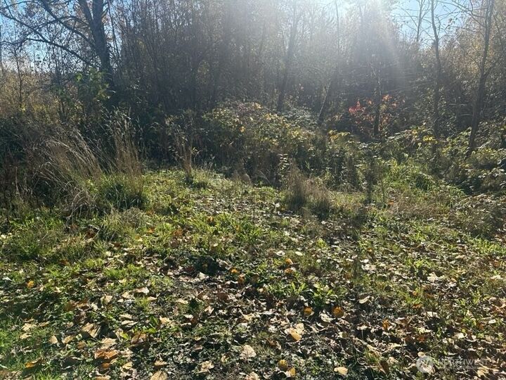 Property Photo:  12217 SE Petrovitsky Road  WA 98058 