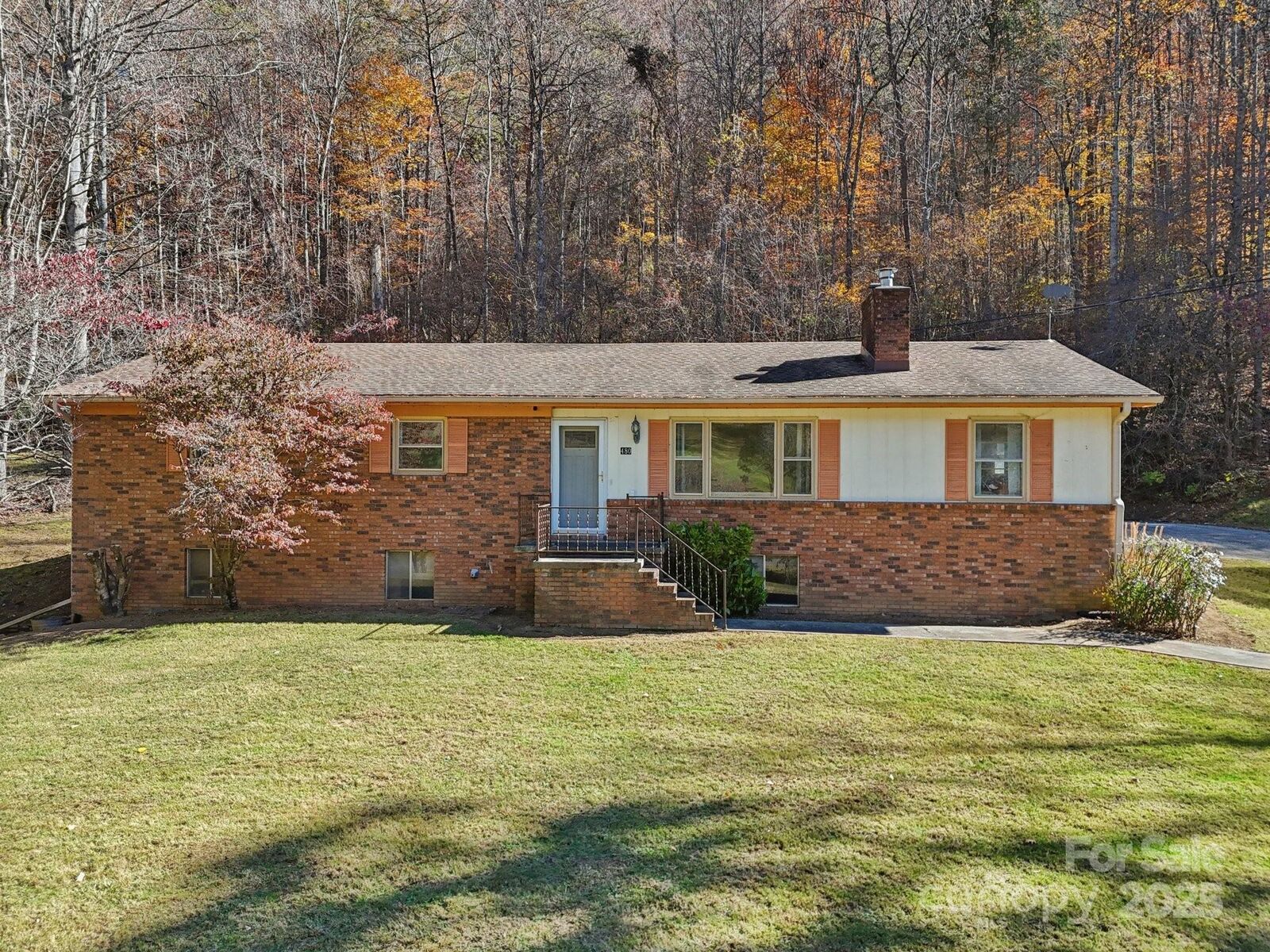 Property Photo: 480 Paint Fork Road NC 28709