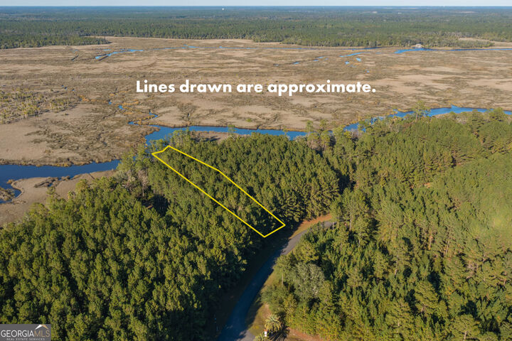 Property Photo: Lot 116 La Mare Lane GA 31565