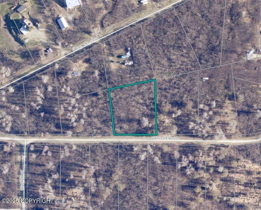 Property Photo:  L13 Scenic View Loop  AK 99635 