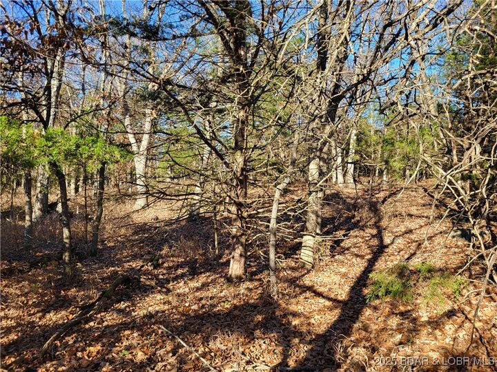 Property Photo:  Wolcott Circle 3823,3824 &Amp 3912-3915  MO 65326 