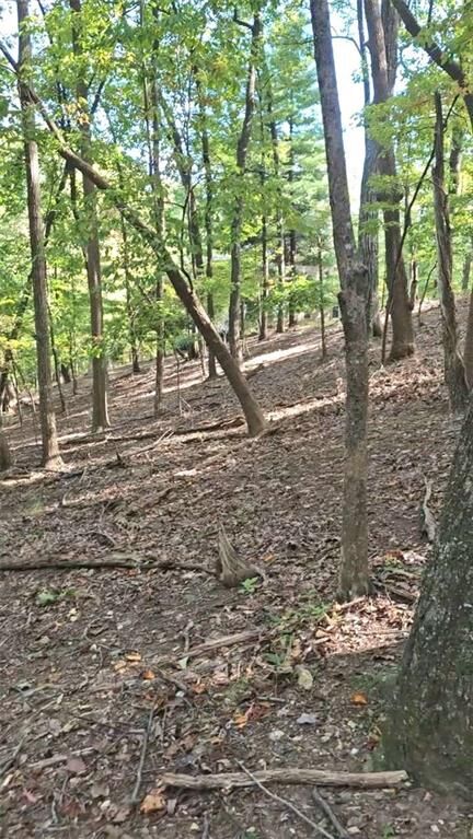 Property Photo:  315 Windflower Drive  GA 30534 