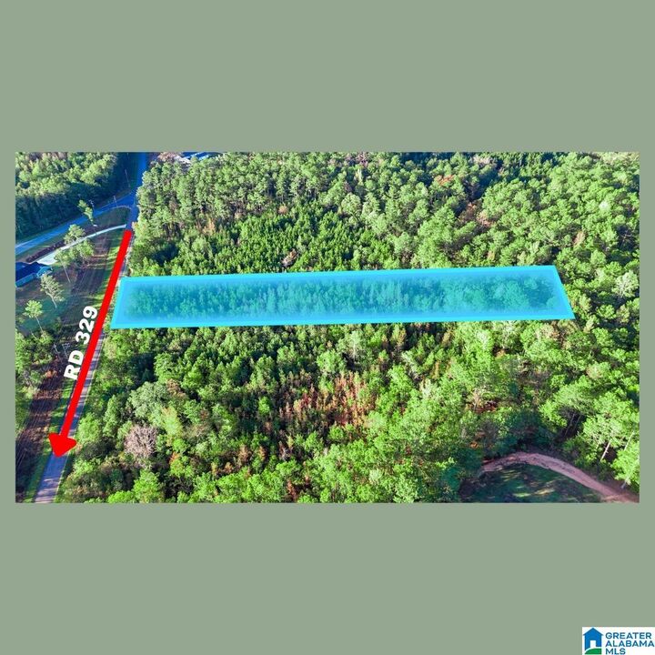 Property Photo:  Tract 2B County Road 329 Tract 2B  AL 36278 