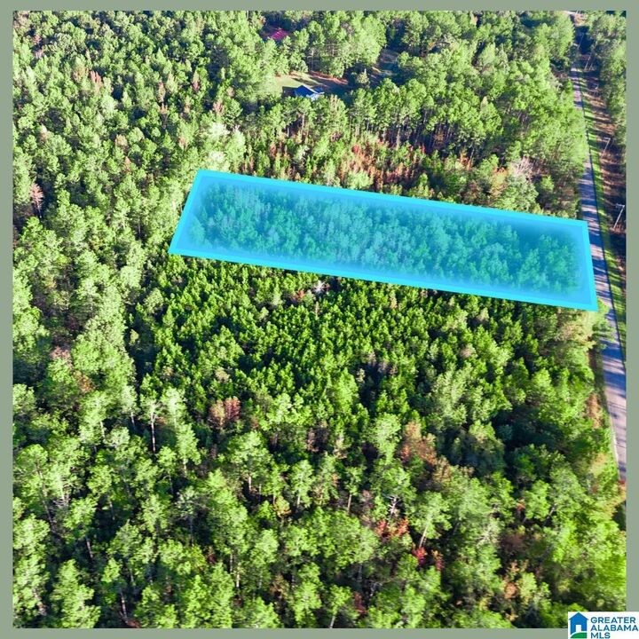 Property Photo:  Tract  3A County Road 329 Tract 3A  AL 36278 