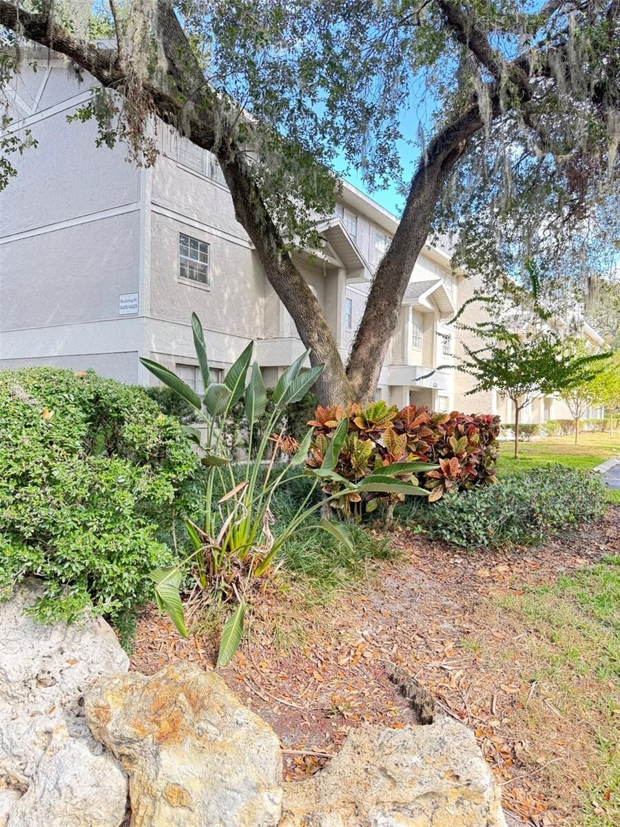 Property Photo:  14412 Reuter Strasse Circle 213  FL 33613 