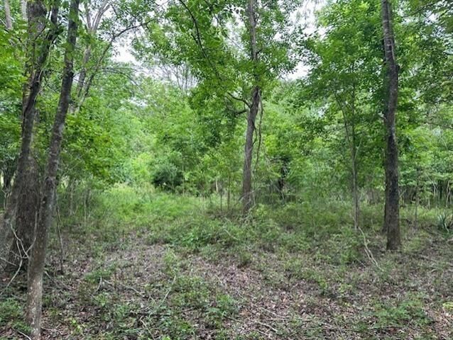 Property Photo: 0 Todd Drive LA 70085