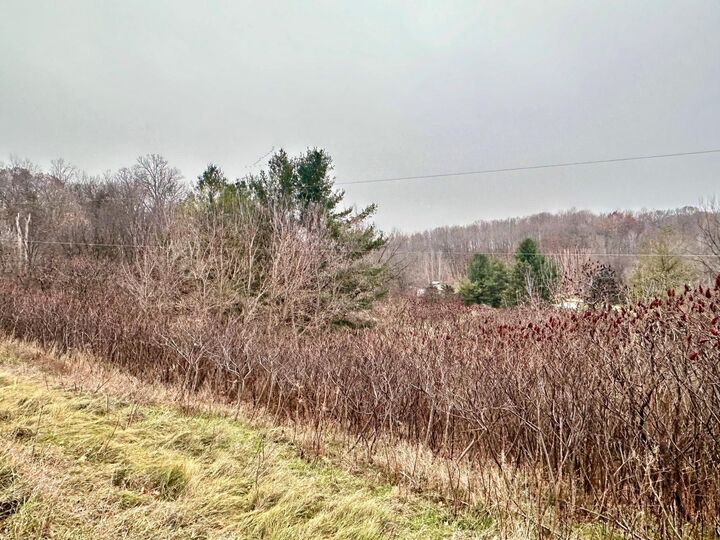 Property Photo:  Lot 1 County Rd M  WI 54022 