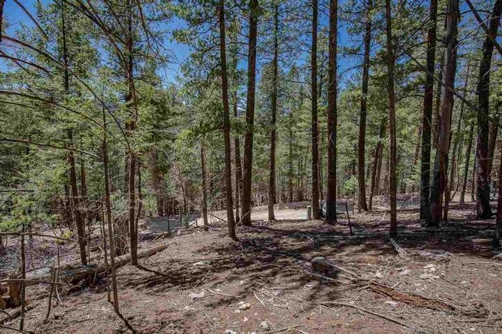 Property Photo:  Forest View Rd  NM 88317-0000 