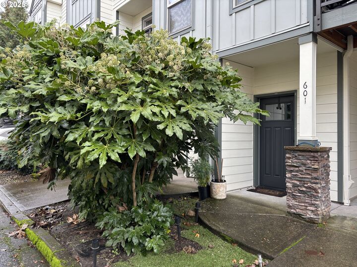 Property Photo:  601 NE 84th Cir  WA 98665 