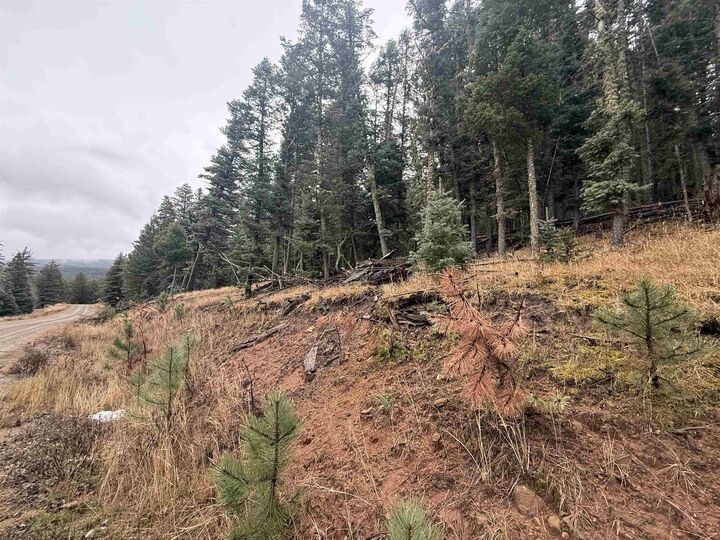 Property Photo:  Lot 29 San Andres Terr  NM 87710 