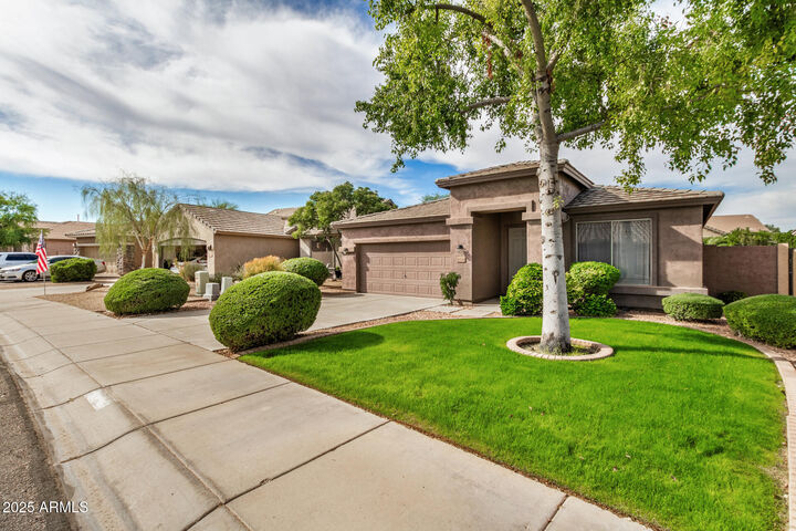 Property Photo: 30128 N Yellow Bee Drive AZ 85143