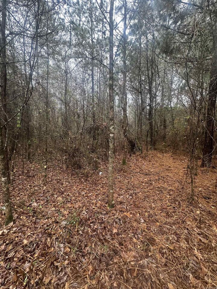 Property Photo: Tbd Dogwood Drive AR 72150
