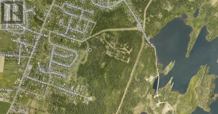 Property Photo:  36 Griffins Lane  NL  