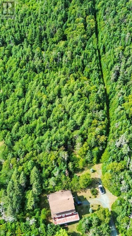 Property Photo: 582-594 Indian Meal Line NL A1K 1G5